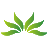 深圳小草信息科技有限公司，为应急、公安、消防等行业提供网络传输解决方案