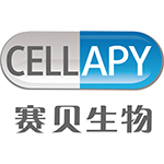 iPS细胞无血清培养基,人心肌细胞分化试剂盒,人多能干细胞培养基,心肌药物筛选,神经干细胞诱导培养试剂盒,Essential 8细胞培养基-北京赛贝生物技术有限公司