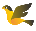 阳光直采