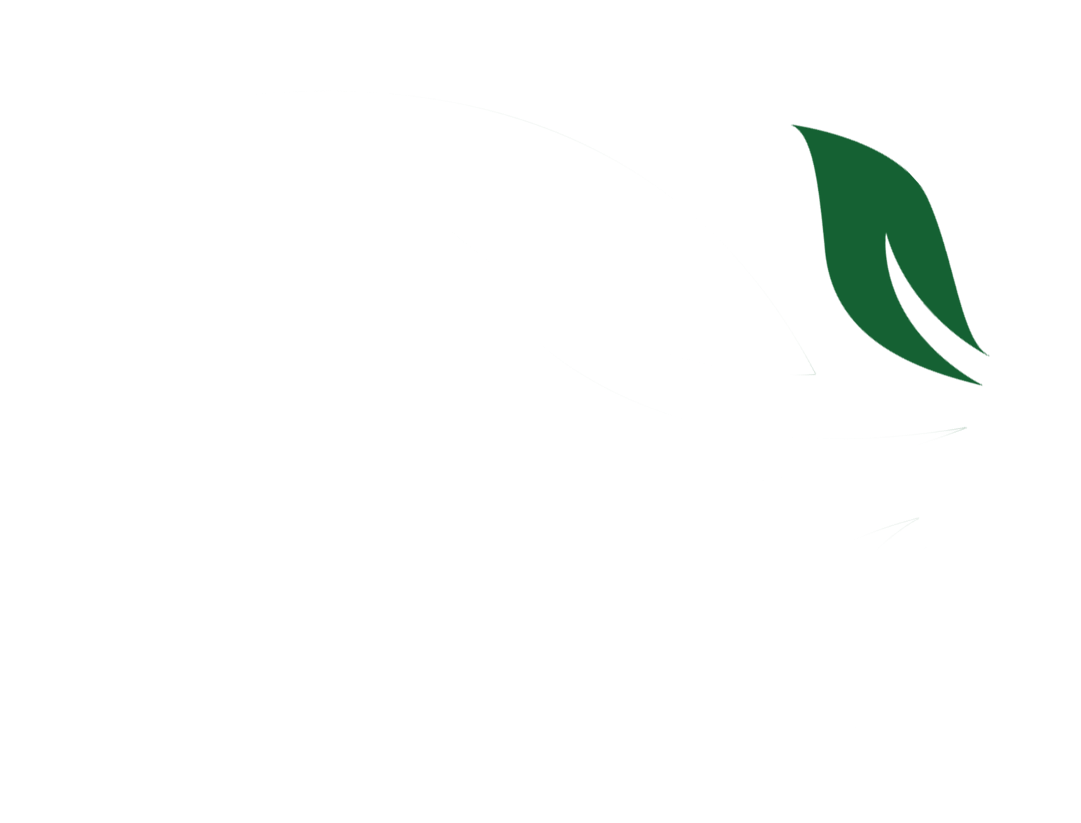 相关推荐