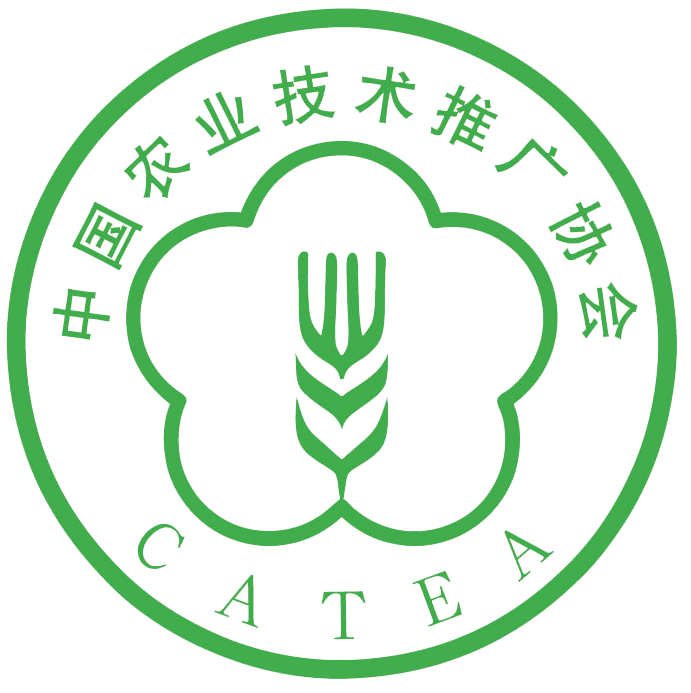 相关推荐