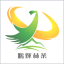 相关推荐