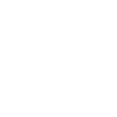 华凤技术（南京）有限公司