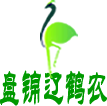 相关推荐