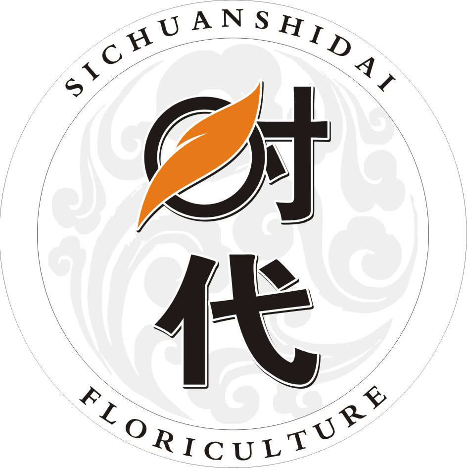相关推荐