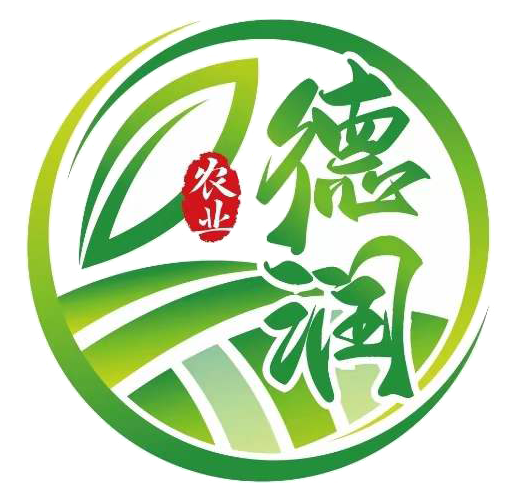 相关推荐