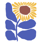 Summer的学术工作坊 - summerstudying.com