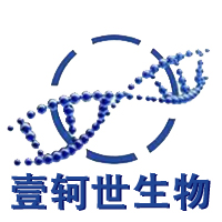 相关推荐