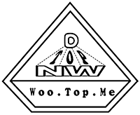 wootopme融弈国际官方网站