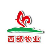 相关推荐