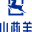 相关推荐