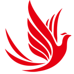 相关推荐