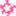 日本樱花医护官方网站
