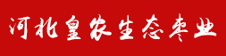 相关推荐