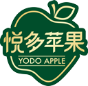 相关推荐