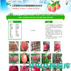桃苗_苏北桃王_新品种桃苗推广_商品桃销售_早熟桃品种_桃苗新品种_邳州市农乐园果蔬种植专业合作社_http://www.subeitaowang.com