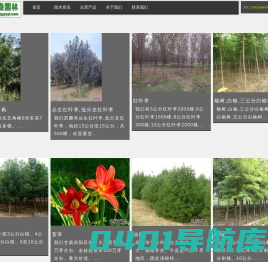 绿化苗木销售_苗木价格_庆阳宇森园林有限公司