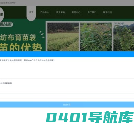 福建木荷苗-枫香苗供应「福建浙江江西广东求购木荷苗」请选清流县清源苗圃