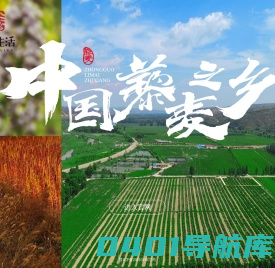静乐生活