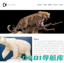 财虎标本 —— 北极熊皮 北极熊标本 非洲狮标本 狼标本 棕熊标本等 全球进口为专业客户博物馆科普馆等单位及个人收藏提供濒危艺术动物标本