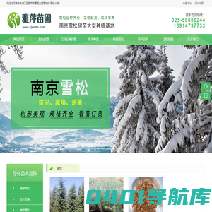 雪松-雪松价格-雪松小苗-大型雪松基地「南京雅萍苗圃场」