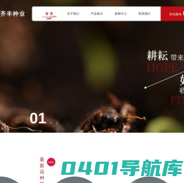 齐丰种业，专业玉米种子销售辽宁省玉米种子销售，葫芦岛玉米种子销售，大田种子销售