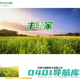 小麦种子_玉米种子_河南丰德康种业有限公司