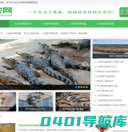 小龙虾养殖技术-【十年龙虾养殖技术分享】-虾农网