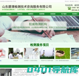 山东碧清检测技术咨询服务有限公司