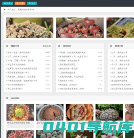 多肉植物_多肉种植_多肉品种图鉴_多肉联萌