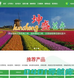 宿根花卉,山东草花,草花批发,花海设计-青州市坤盛花卉苗木有限公司
