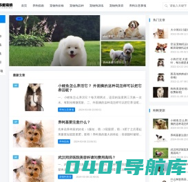 宠物狗的价格及品种_宠物狗训练_新手养狗指南-985爱宠物资讯