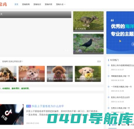 宠物网-宠物百科,专业宠物疑问解答