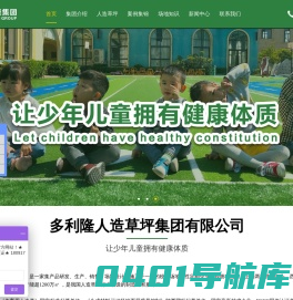 多利隆人造草坪集团有限公司