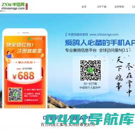 中国信鸽信息网