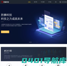 胜狮科技