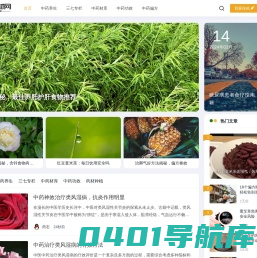 中药材库-药材图片与功效大全-三七药材网