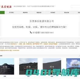 块煤_烟煤_无烟煤_煤炭批发_印尼煤价格_多少钱一吨 - 东莞泰实能源