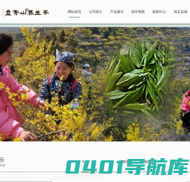 山西连翘茶|河南小白蒿价格|河北连翘茶种植基地-山西盘秀山农业科技开发有限公司