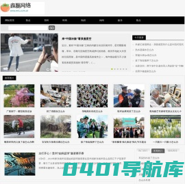建网站公司广州排名-鑫磊网络