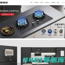 广东鑫奇集团官网——燃气灶十大品牌|集成灶|烟机|热水器|不锈钢橱柜