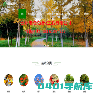 银杏树_银杏树苗_美国红枫价格_银杏树价格_邳州银杏价格_山东银杏价格_邳州市玖玖绿化工程有限公司_http://www.pzjjlh.com
