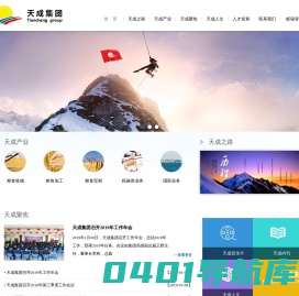 天成集团