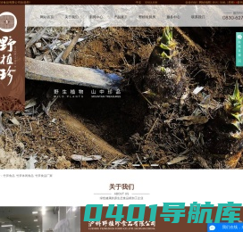 竹笋食品_竹笋休闲食品_竹笋食品厂家-泸州野植珍食品有限公司