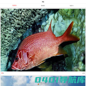 美图