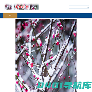 遥知非雪