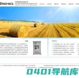 中农国际钾盐开发有限公司