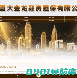 融资担保-宁夏大金龙融资担保有限公司