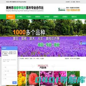 青州市漫香亭花卉苗木专业合作社,薰衣草花海,一二年生草花,宿根花卉,花灌木,年宵花