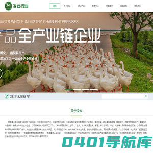 凌云鹅业,易县凌云,易县凌云鹅业有限公司-易县凌云鹅业有限公司